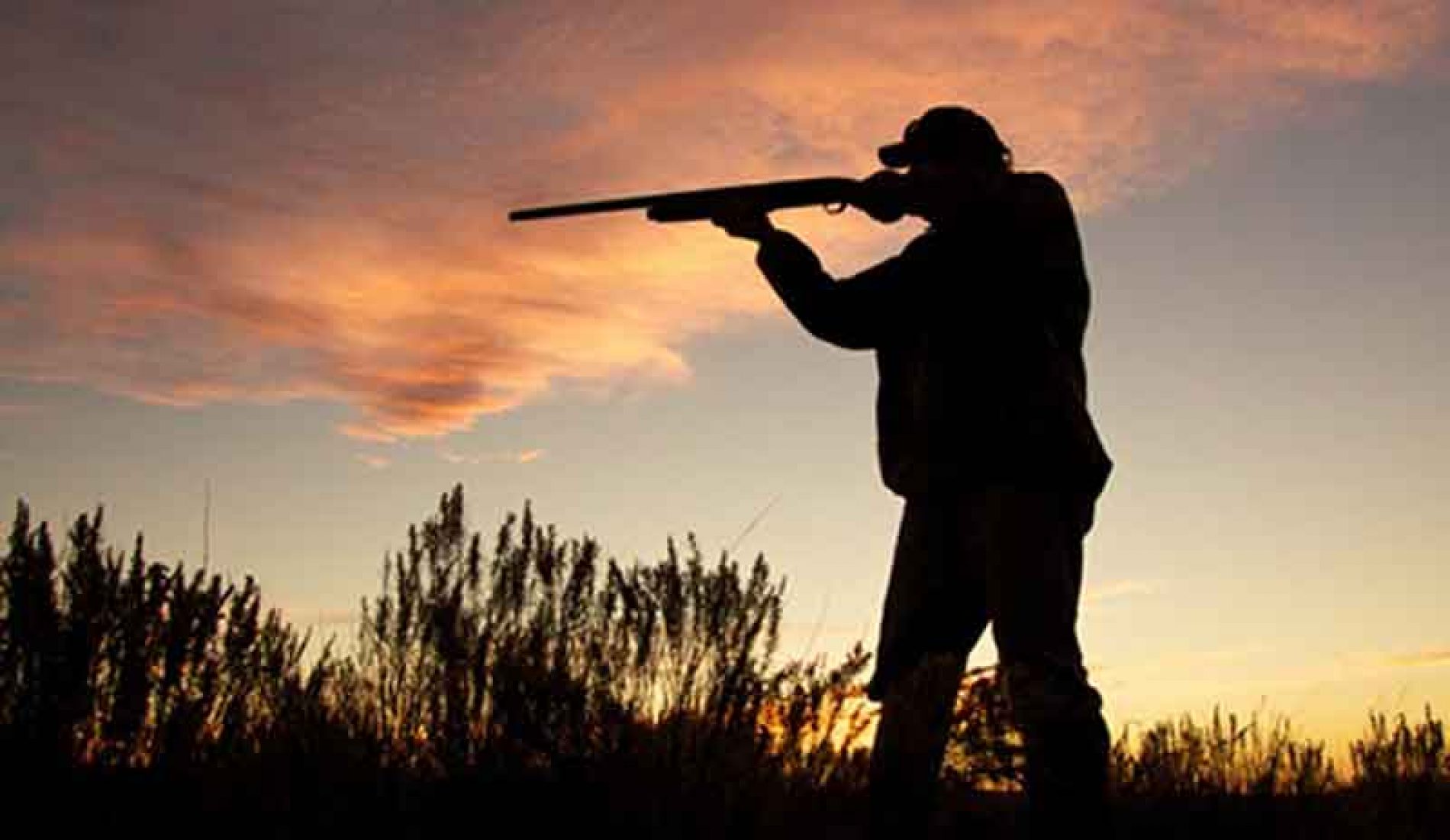 La falta de caza menor y los predadores las principales preocupaciones de los cazadores