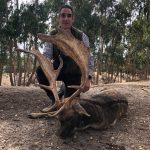 monteria-Heredad-da-Sanguirinha.-Gomez-Caza