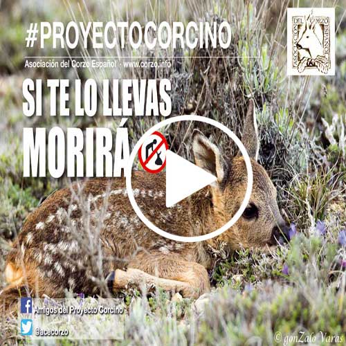 CartelCorcino2018