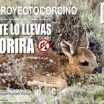 CartelCorcino20181
