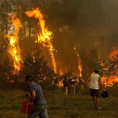 La Xunta incluye a los cazadores en el operativo de lucha contra incendios