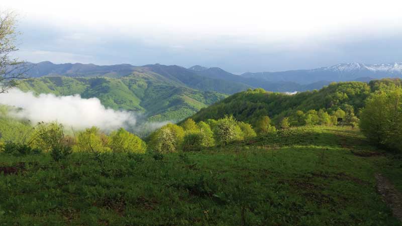 jabalies-y-corzos-balcanes-paisaje