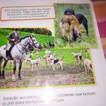 libro-zorro-2