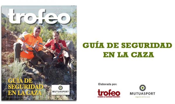 portada-guia-seguridad