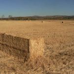 retos-agricultura-y-caza-prin-ok