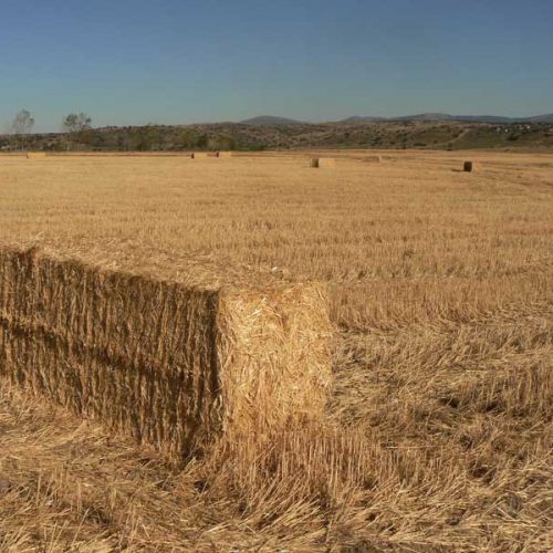 Retos para una buena química entre caza y agricultura