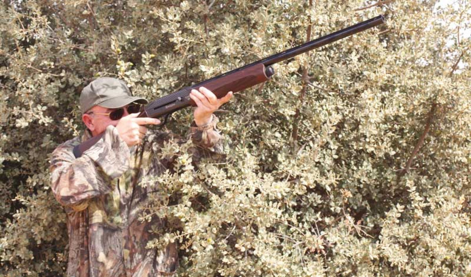 Cómo elegir la mejor escopeta para cazar en media veda desde puesto fijo y/o en mano
