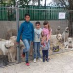 campillo-de-altobuey-aer