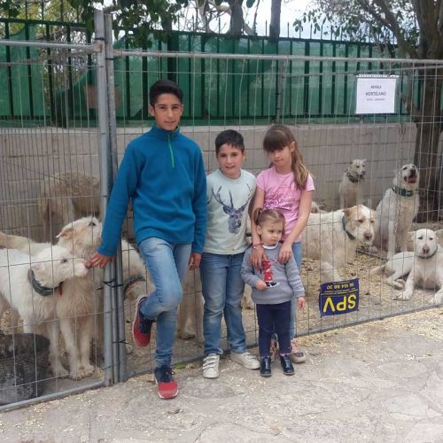 Campillo de Altobuey punto de encuentro de los aficionados al perro de caza
