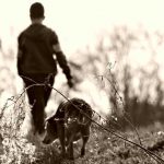 perros-y-ninos-prin