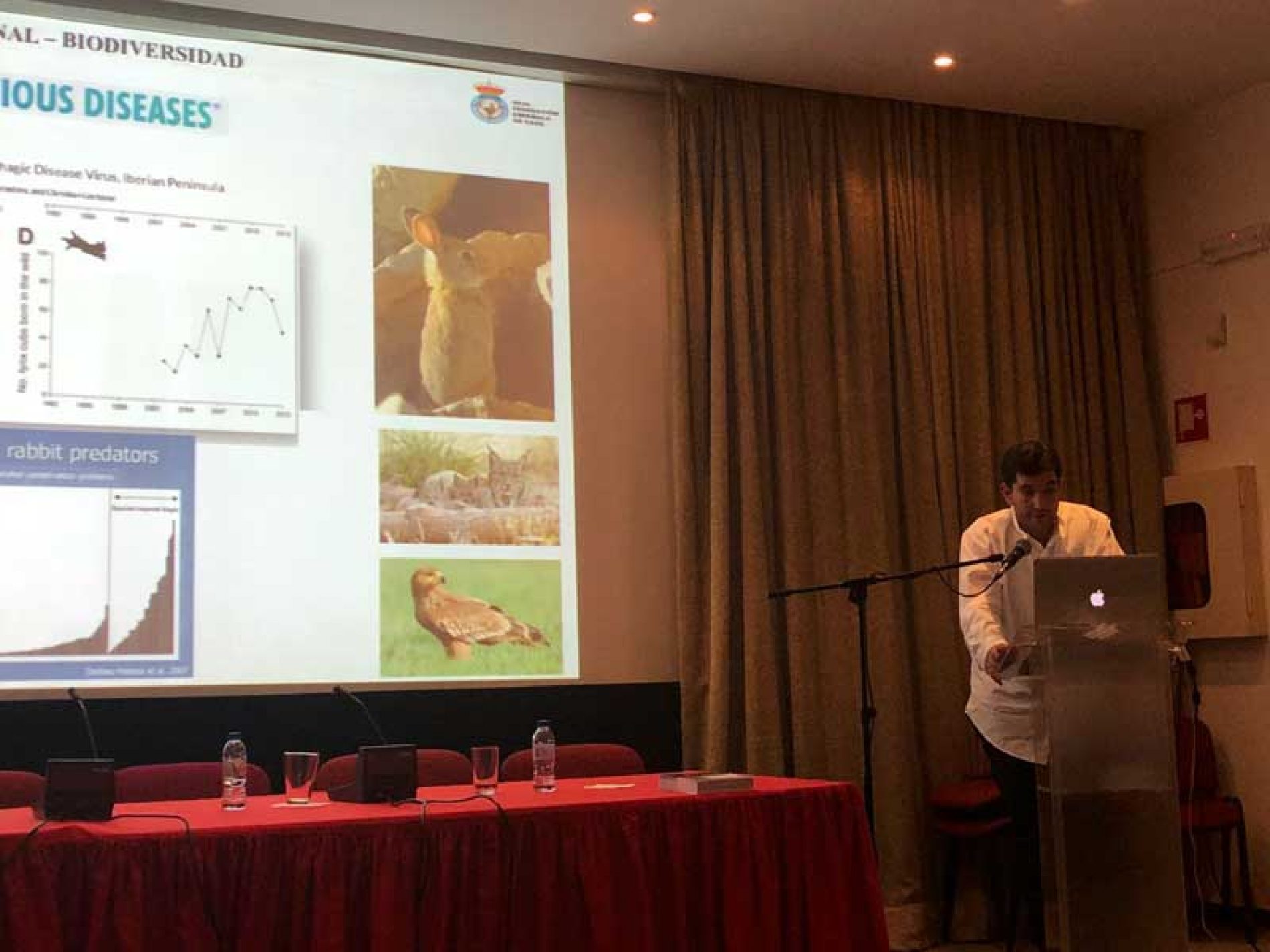 La RFEC traslada su experiencia en la gestión del conejo de monte, en el marco del Proyecto +Coelho