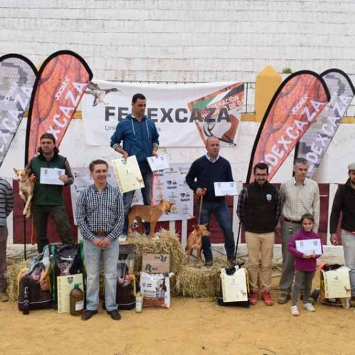 Manuel Casas Barragán se impone en el Campeonato de Extremadura de Podencos