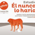 estudio-abandono-y-adopcion