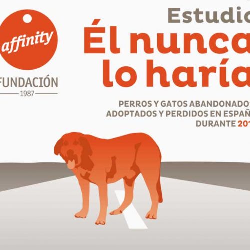 El estudio de la Fundación Affinity confirma que los perros de caza son los menos abandonados