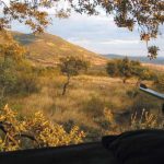 ley-castilla-la-mancha