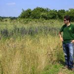 Agrohabitat-artemisan