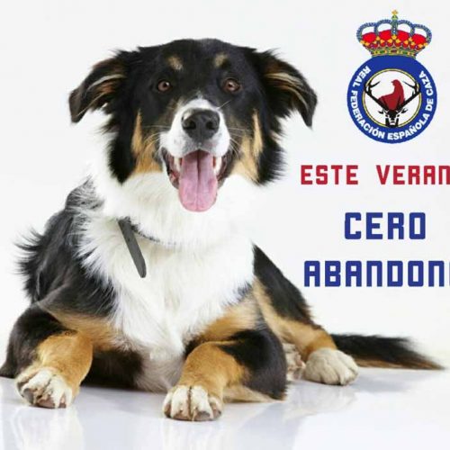 La RFEC lanza la campaña #CeroAbandono