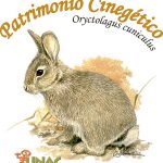 unac conejo