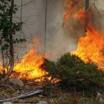 incendios-y-caza-prin