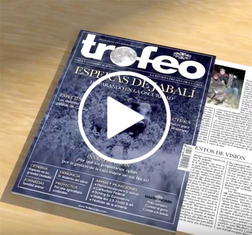 videos spot-trofeo-agosto-18