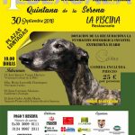 jornada-formacion-galgos