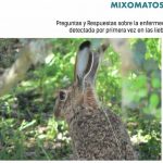 mixomatosis-liebres-2