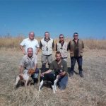 Campeonato-de-espana-perros-muestas-18