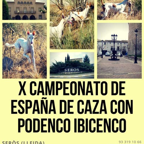X Campeonato de España de Caza con Podenco Ibicenco