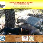 curso-rastreo-sangre