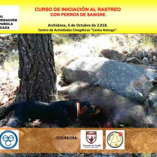 Los secretos sobre el rastreo con perros de sangre en los cursos de la Escuela Española de Caza