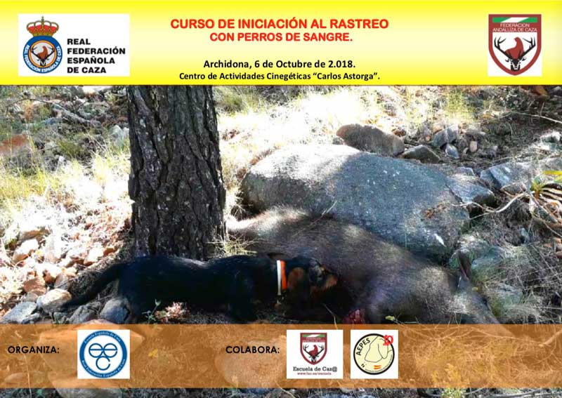 curso-rastreo-sangre