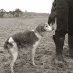 defender-la-caza-soria-brena