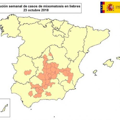 La mixomatosis alcanza ya a liebres de 12 provincias en 5 comunidades