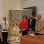 campeonato-del-mundo-perros-de-muestra