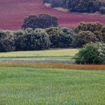 mejoras-coto-prin