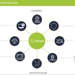 Micaza