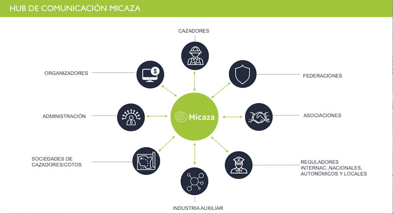 Micaza