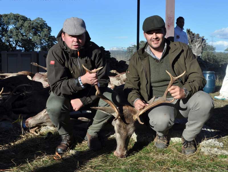 monteria-Berenga