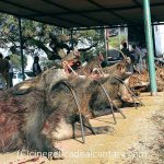monteria-La-Sierra