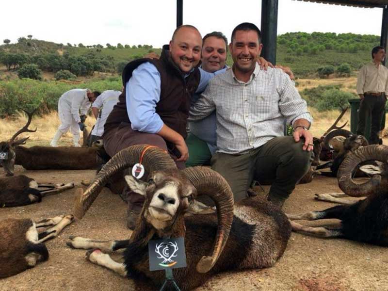 monteria-Piedrasanta
