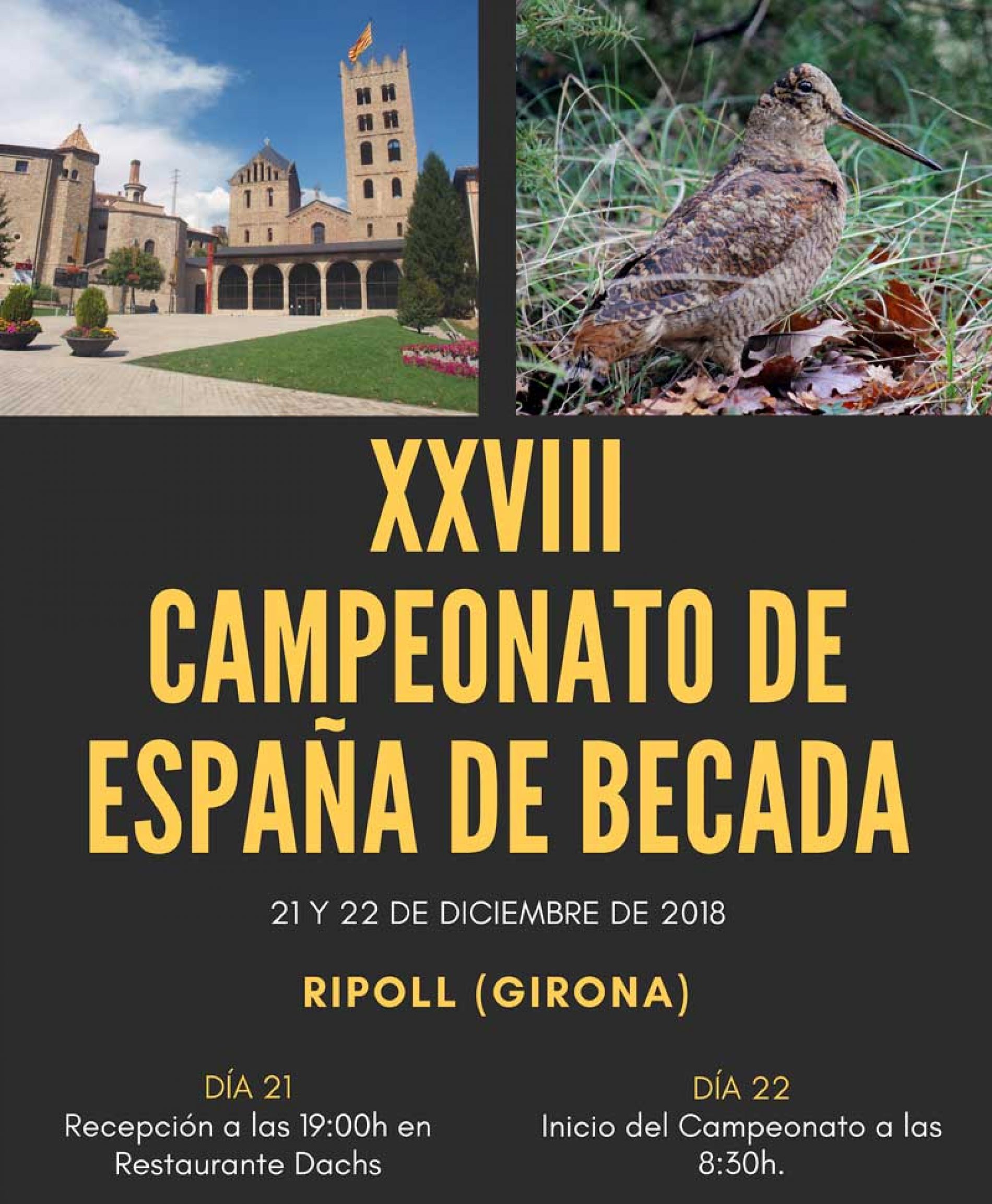 XXVIII Campeonato de España de Becadas
