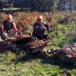 monteria-Corchadillo-Bajos