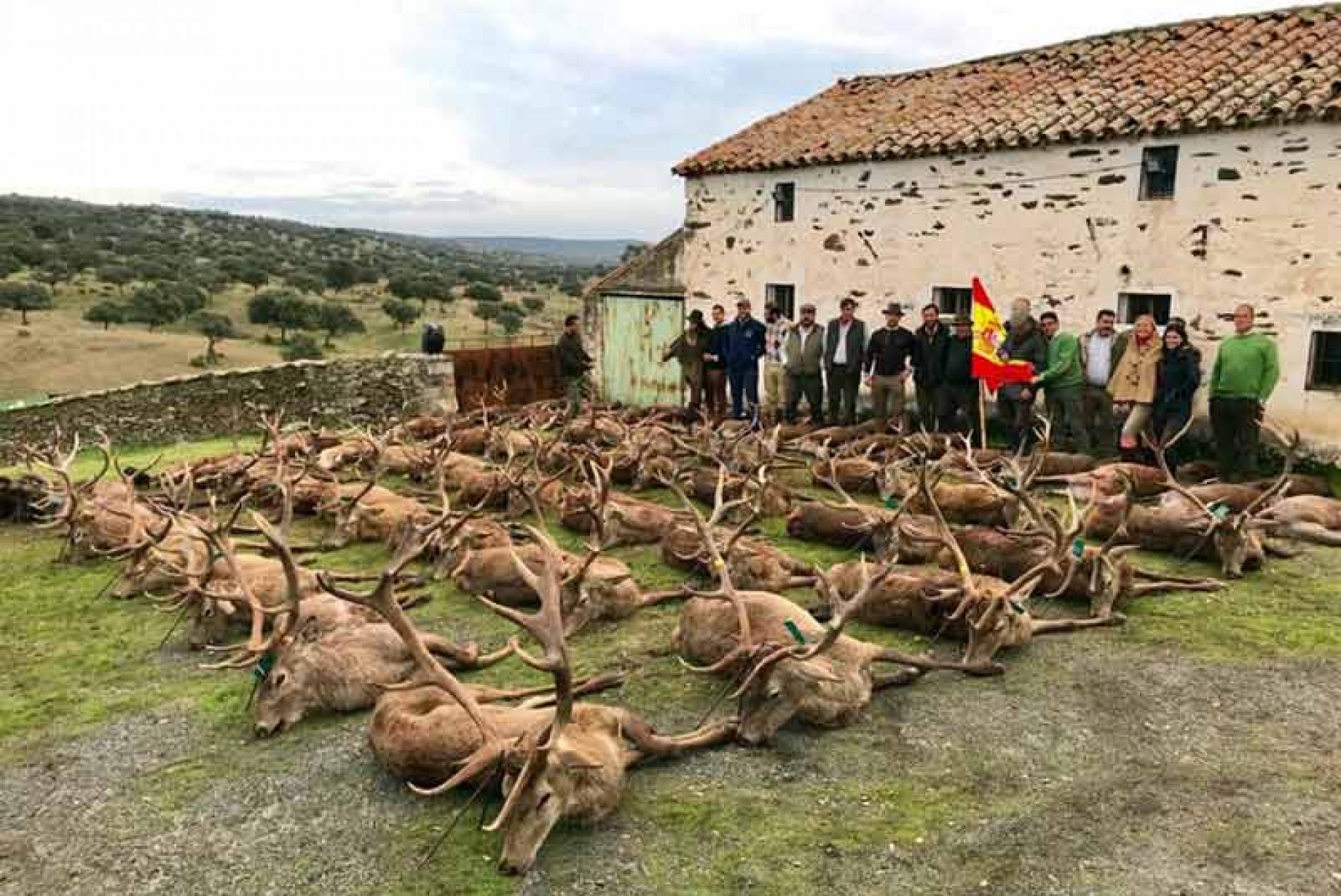 Montería Jorge I, una de las fincas más bonitas de Sierra Morena