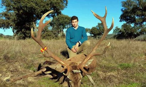 Espectaculares venados en montería El Halcón y La Nava