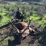 monteria-Herdade-Ardila