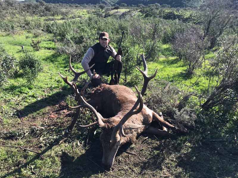 monteria-Herdade-Ardila