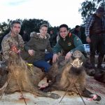 monteria-La-Aljabara-de-Spinola-