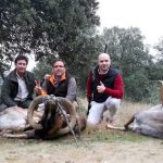 monteria-La-Vía