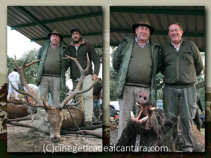 monteria-Las-Mohedas