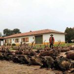 monteria-Ribera-Alta